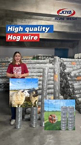 70K views · 411 reactions | Secure your farm and animals using our sturdy Hog Wire. Available at an affordable price here at Joya Wire Mesh For inquiries and/or orders message us now✉️ Sterling, Iba, Meycauayan Bulacan #hogwire #fence #wire #Wiremesh #fencing #farm #animals #secure #farming #DirectSupplier #joyawiremesh #barbedwirefence #3DFence #security #metal #fyp | Joya Wire Mesh | Facebook