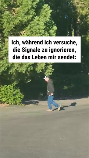 963K views · 10K reactions | Mit welcher Nonchalance  | Curioctopus.de | Facebook
