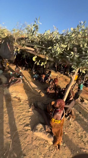 6.5M views · 159K reactions | Bull Jump Ceremony — Boy and girl testing their fate #BullJumpCeremony #AfricanTribe #OmoValley #TribalCulture #AdventureVibes #WildAfrica #CulturalExperience #TribalLife #DiscoverAfrica #AmazingTraditions #FateChallenge #TribeLifestyle #HiddenAfrica #ExploreTheWorld #UniqueTraditions #CourageAndFate #UnseenAfrica #AfricanJourney #CulturalHeritage #TribalStories #fyp #viralvideoシ #usaviral #foryouシ #meme | Vinod Kumar | Facebook