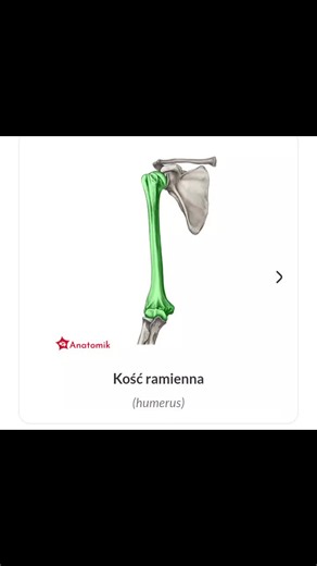 #anatomia #łacina #anatomik anatomia na podstawie Bochenka dla studentów kierunków medycznych