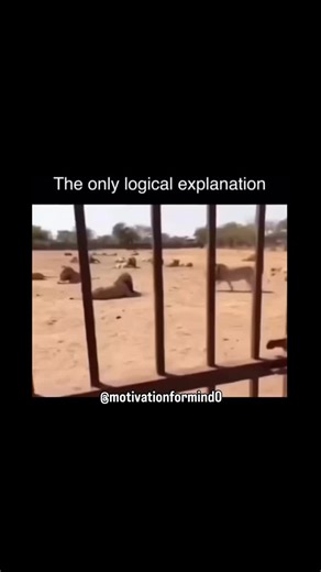 Motivationformind0 | Follow. Key & Peele isn't just a sketch comedy show-it's a blueprint for modern humor. Created by and starring Keegan-Michael Key and... | Instagram