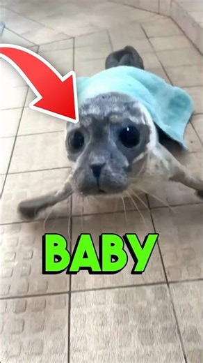 This Baby Cries Exactly Like A Human 🥺
