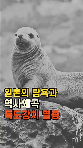독도강치 멸종, 일본의 탐욕과 역사왜곡 #독도 #역사왜곡 #바다사자