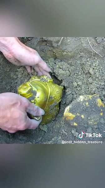Gold Cow Statue Discovered in Forest Treasure Hunt