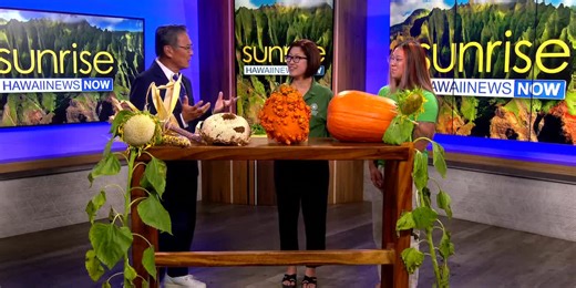 Check out Oahu's giant fruit and vegetable contest this weekend