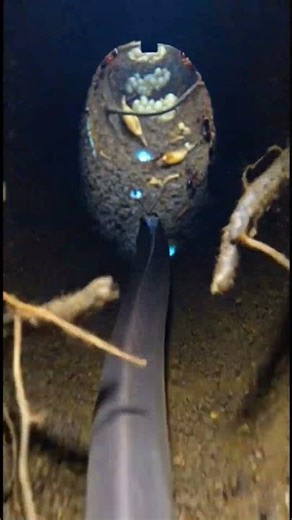 Worm Snake POV: Inside a Massive Underground Ant Colony | Micro Camera Documentary