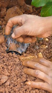 1.6M views · 7K reactions | Gemstones, gems ,expensive, diamond #amazinggold #shorts #tricks #tips #treasure #hunting #hunter #findgold #treasure #findinggold #treasurehunting #gemstones #gemstone #most #valuable #gemstones #most expensive #crystals #mostexpensive #gemstones #snake #python #holesnake #bigsnake | MY CAT | Facebook