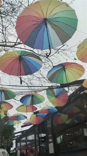 Beautiful Colourfull Umbrellas in Balat, Istanbul 🇹🇷 #istanbul #turkey #türkiye #istanbulturkey