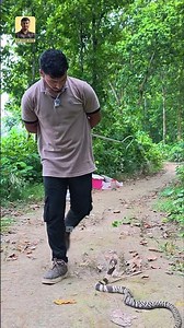 হঠাৎ সাপের সামনে পরে গেলে কি করবেন ? Experiment on Venomous Cobra Snake #snake #cobra #shorts
