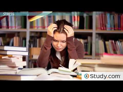 Diathesis Stress and Protective Factors Understanding the Diathesis Stress Model Video Lesson Tra