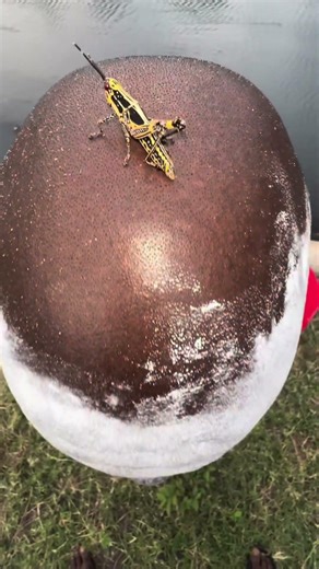 Sabooor Energético #toguro #saborenergetico #mansaomaromba #drink #funny @Mansãomaromba @TOGURO2023