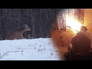 FLINTLOCK HEART-SHOT! (3 Legged Deer?) - Traditional PA Deer Hunt