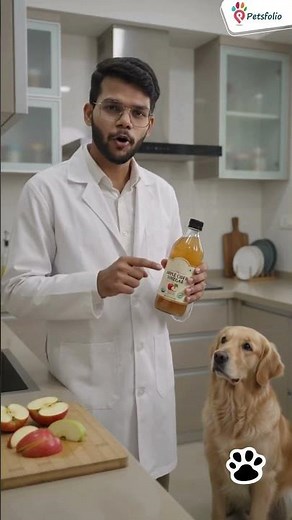 Apple Cider Vinegar for Dogs: Helpful or Hype? (Part 1)