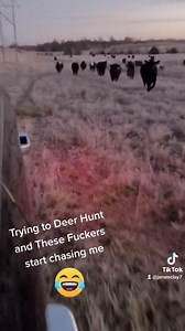 2K views · 27 reactions | Trying to find a spot to hunt but these damn cattle wouldn't stop chasing me lmao... I ended up hunting with them藍藍 #comedy #lmao #hunting #fyp | Blowin' Money Mafia | Facebook