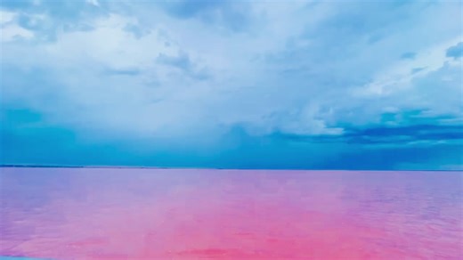 Exploring the Stunning Pink Lake: A Natural Wonder on Earth