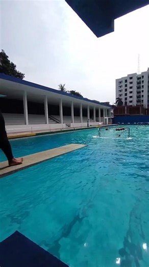 perfect practice💯 1m spring board Diving #diving #worldaquatics