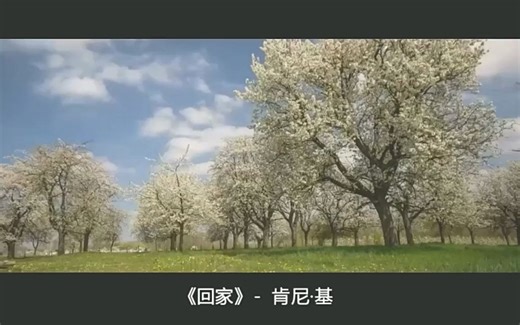 经典欧美轻音乐《Going Home》唯美萨克斯，心中充满回家的喜悦