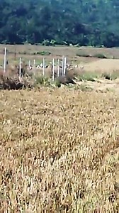 Thamnapokpi sanasabi ge khunja amage pendba wakat Kuki ge d loikhidoure aeikhoi geni pending aduga amul attck moi plan ni mashida eikhoi ge protection du mafm suna pigdbni pifam thok a | Rk Ichan Thoi Live Moment's