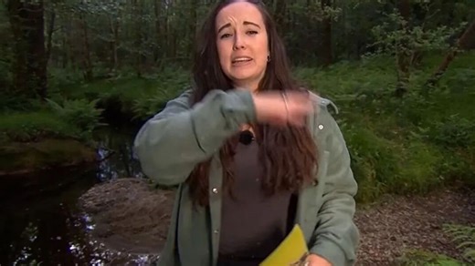 Excruciating moment Springwatch's Megan McCubbin is attacked by insects