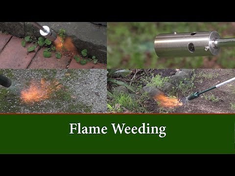 Flame Weeding Comparing the Weed Dragon and the Hot Devil Gas Flame Weeders.