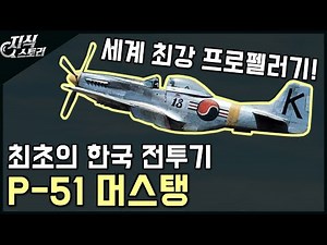 최초의 대한민국 전투기 "P-51 머스탱" / 최강의 프로펠러기 [지식스토리]