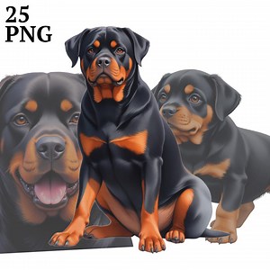 Rottweiler Clipart Set: Realistic PNG Images, Commercial Use (digital Download - Etsy