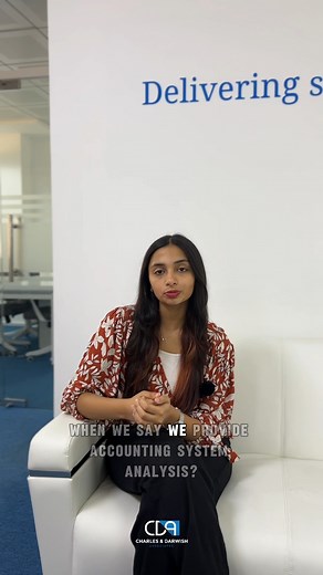 When CDA mentions that they offer accounting system analysis, they're...