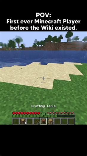 Overcoming Challenges Alone: One Person's Journey