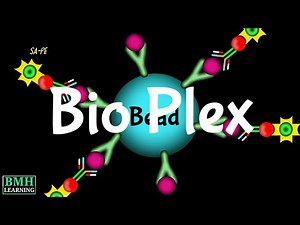 Bio Plex Assay | Bio Plex Technology | Magnetic Bead-Based Assays | Multiplex Assay |