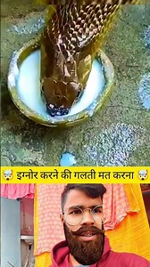 🔥#TIMELAPSE START to FINISH Alone BUILDLOG Cabin (Wooden House), How To Build Wooden Cabin, Surviva