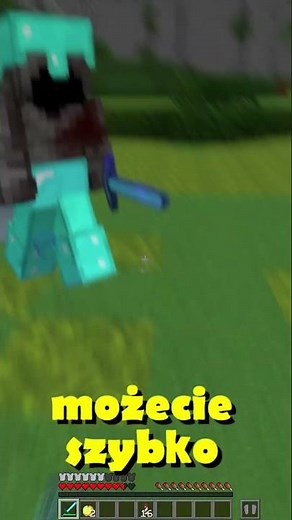 1.19.4 - najlepsza wersja do LifeSteal SMP