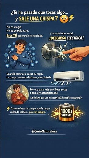 ¿Por qué salen chispas cuando tocas algo? ⚡😱 #CurioNaturaleza #ElectricidadEstática #Chispa