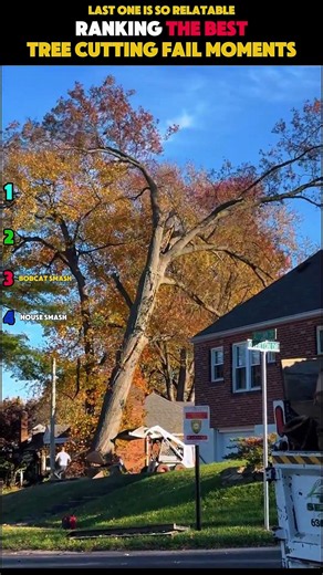 Ranking The BESTTREE CUTTING FAIL MOMENTS #usa