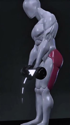 Lower Body Training Done Right — Beginner-Friendly Guide #fatloss #fitness #fitnessmotivation #gym