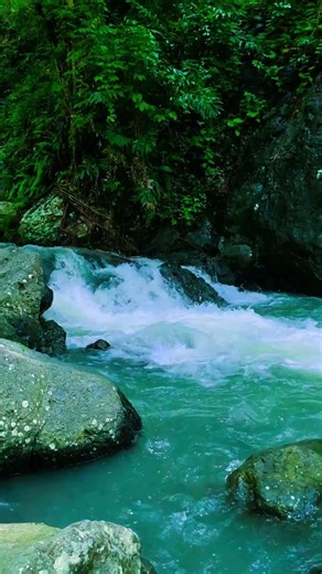 Peaceful Water Stream Views Overcome Fatigue & Sleep Immediately with #nature #waterfall #forest