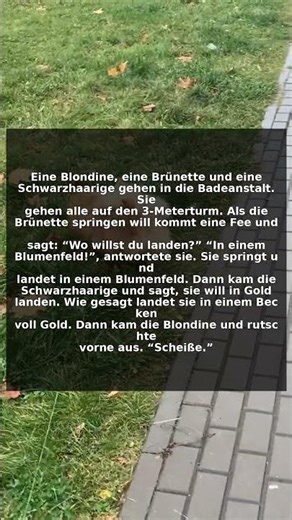 Die drei Frauen und die Wunsch-Fee! 🧚‍♀️