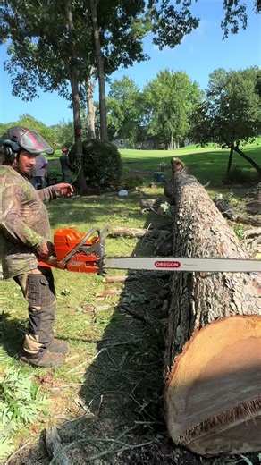 Gapo Tree Service (@gapotreeservice) - Expert Arborists Showing Incredible Woodwork Skills