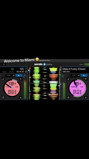Miami Vibes: Dade & Broward County Florida Life