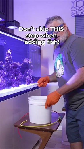157K views · 713 reactions | Don’t skip THIS step when adding fish! #saltwatertank #FishCare #FishTank #FishKeeping | SaltwaterAquarium.com | Facebook