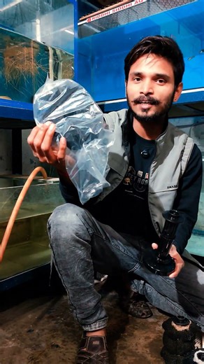 Sponge Filter: Sabse Sasta aur Sabse Best Filter? 🐠 | Full Guide (Best for Beginners)