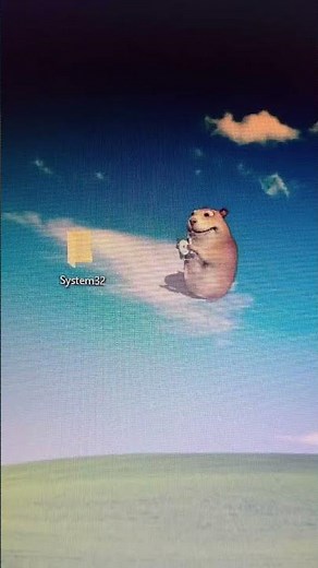 Chomik eats the system #funny #chomik #meme #viral #fyp #shorts