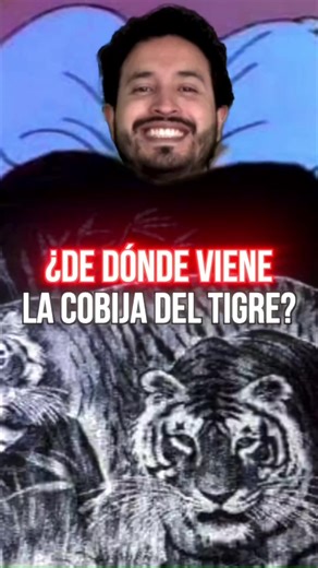 De dónde viene la cobija del tigre? 🎤 @Raúl Vizuete #mexico #cobijadeltigre #ecuador #view #fyp