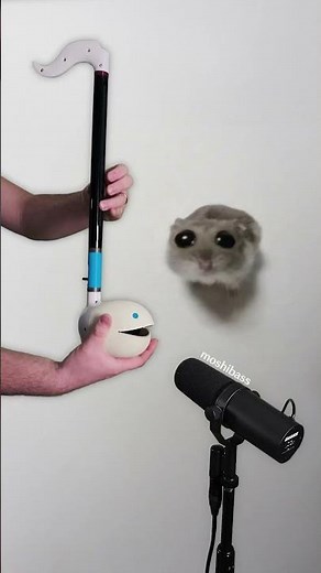 Sad Hamster meme song