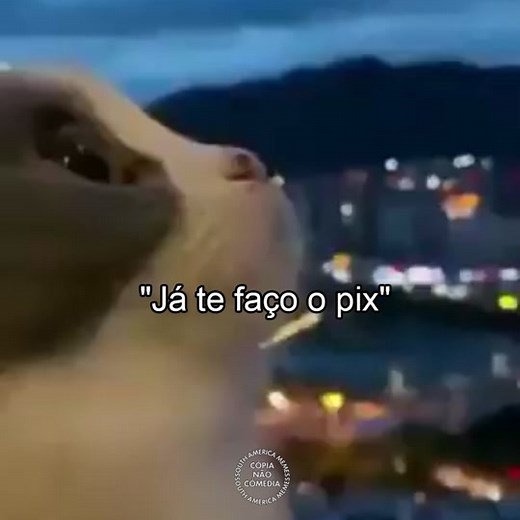 Meme do Pix - Confie nessas palavras!