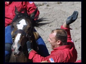 Rodeo Spin Doctor Tries to Defend Cruel Wild Horse Race