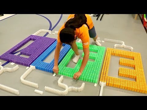 Types of Domino Builders 1!