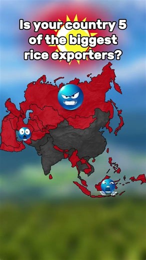 i mean google is dumb it says vietnam exports more than thailand but it says vietnamexportslesstonne