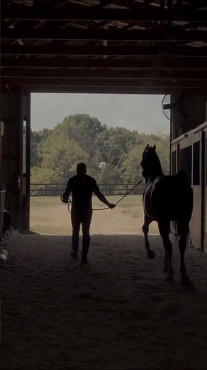 A confiança entre homem e cavalo 🐴💛