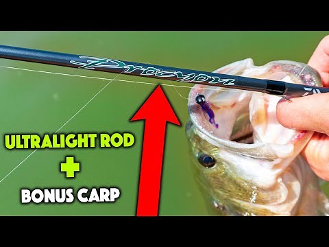 Fishing With The DAIWA PROCYON Ultralight Rod!