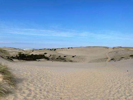 Provincetown Dune Shack Trail - Visitor's Guide